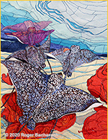 Spotted Eagle Rays by Roger Bacharach